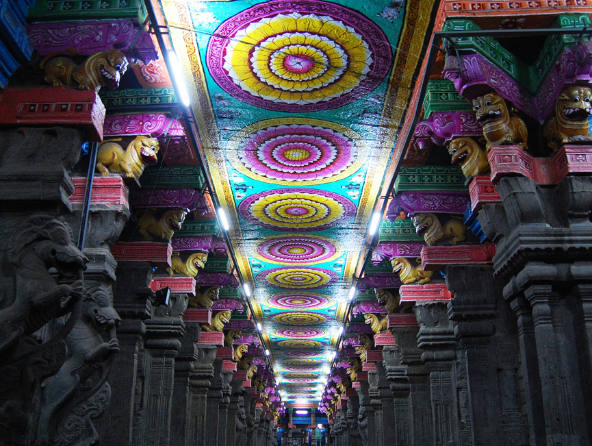 Detalles del techo de una sala. Steve Wilson