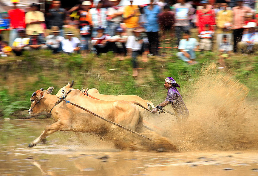 Objetivo, mantener una ruta recta. Pham Thanh Long