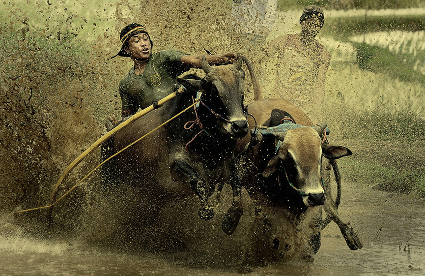 Una salida peligrosa. Adib muhandis