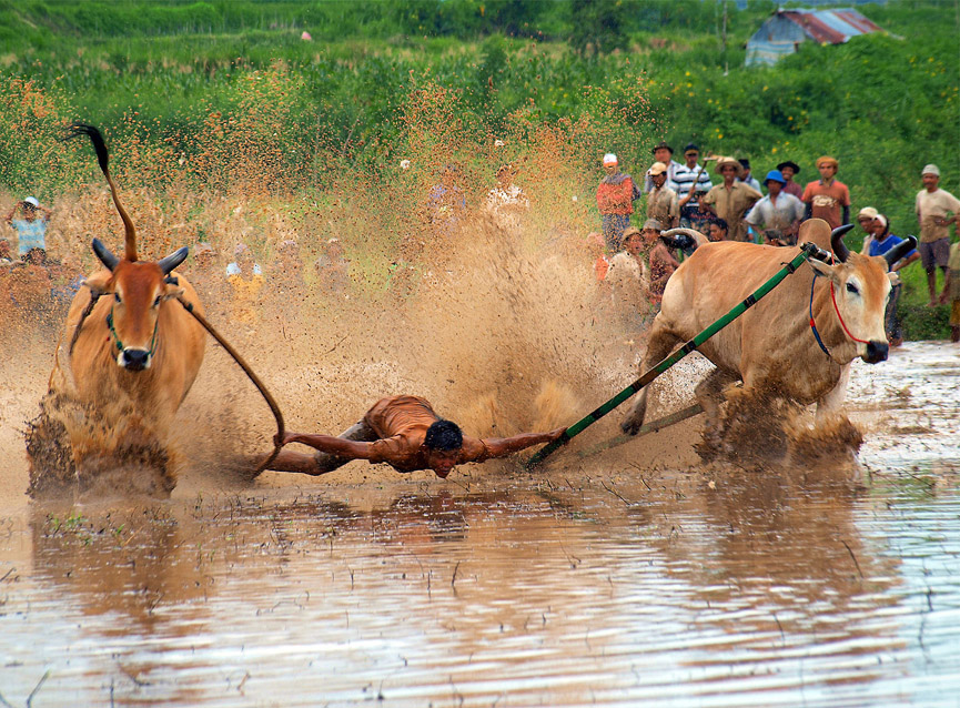 Situación peligrosa. Yunus