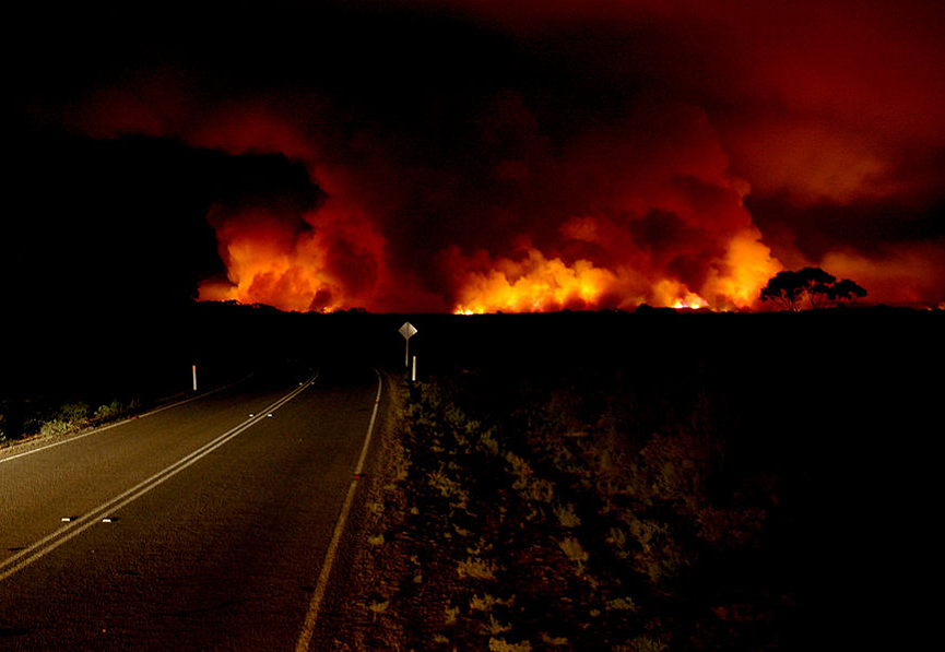 El fuego en Isla Canguro, Australia. Dean Symons