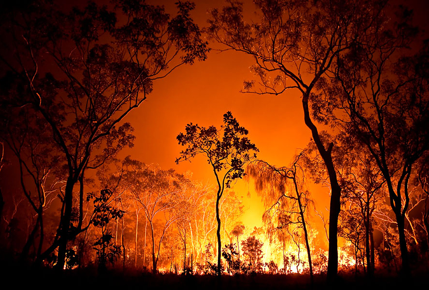 Fuego controlado en el Parque Nacional de Litchfield cerca de Batchelor, Australia. Gary V. Annett