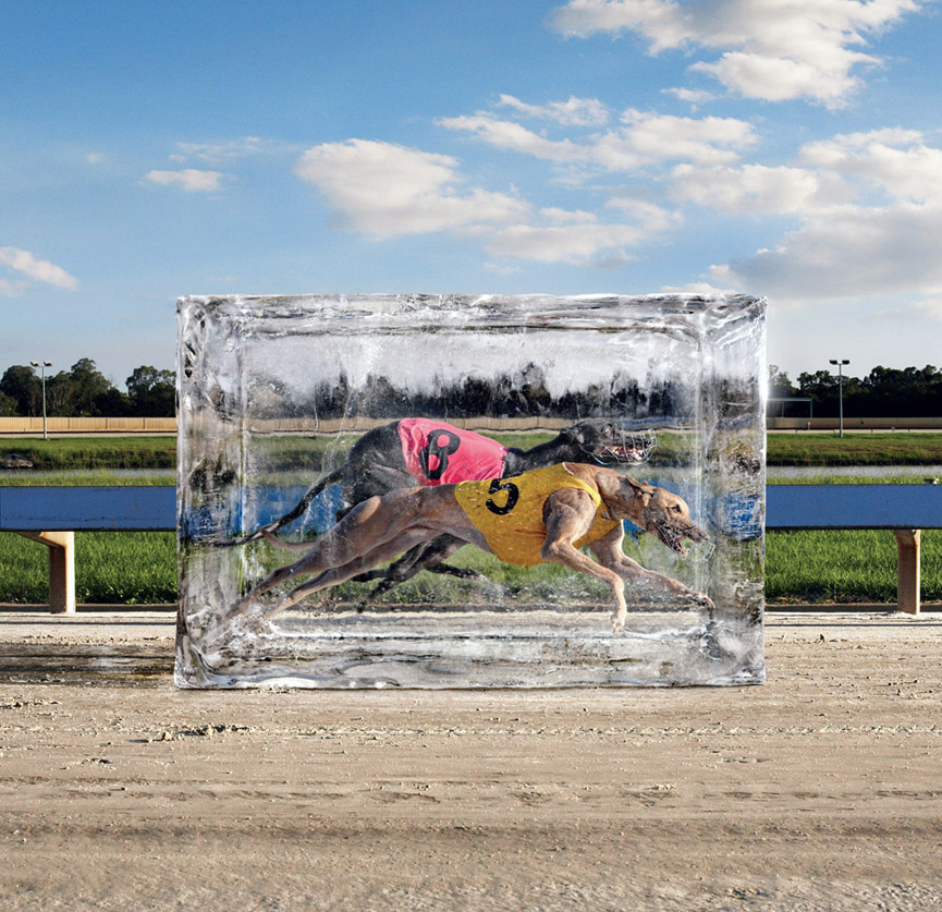 Olympus E620. Agencia JWT Sydney, Australia 