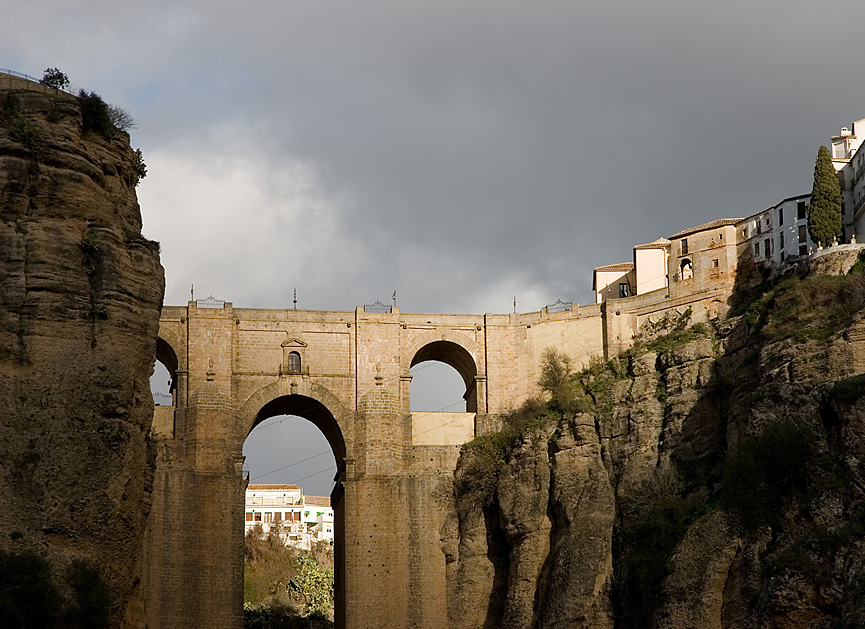 Puente Nuevo de Ronda, Málaga. Giant Ginkgo