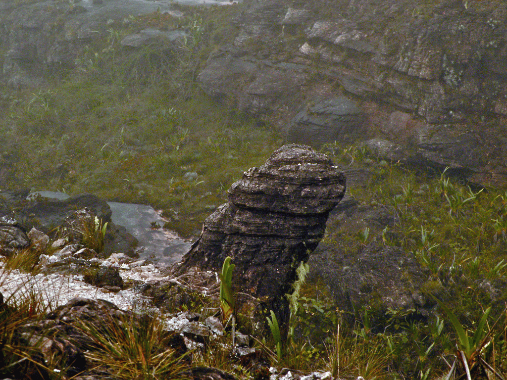 Formacion rocosa, El Falo de Roraima. Ramon y Thalita