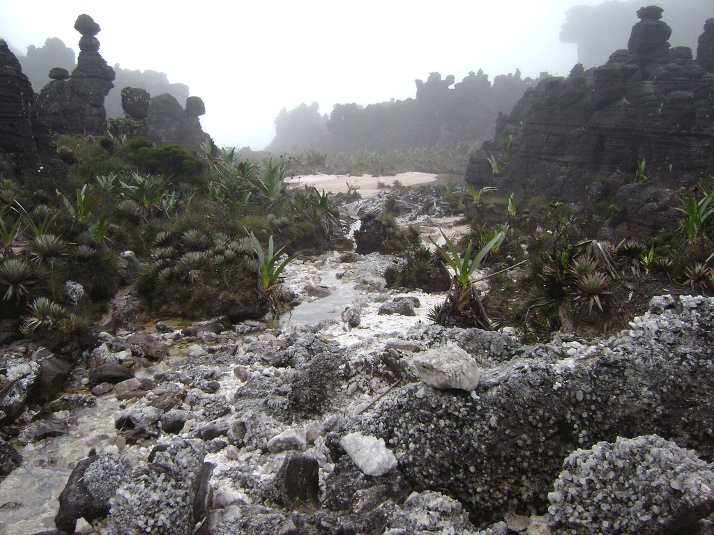 Valle de los Cristales. Diego Alfredo García