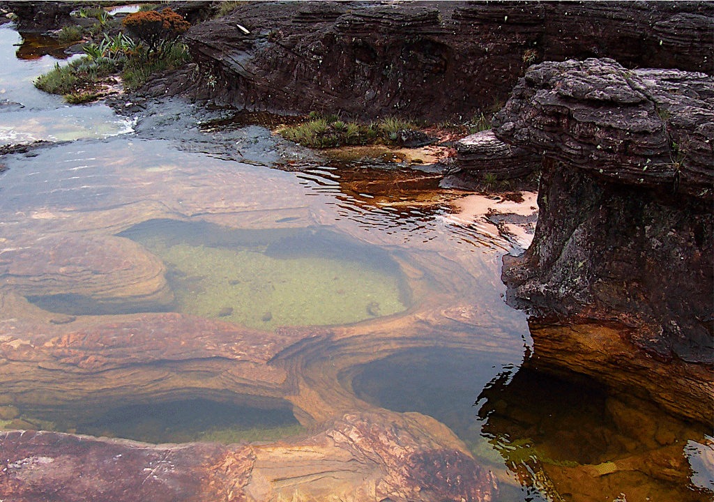Jacuzzis del Roraima. Wikipedia