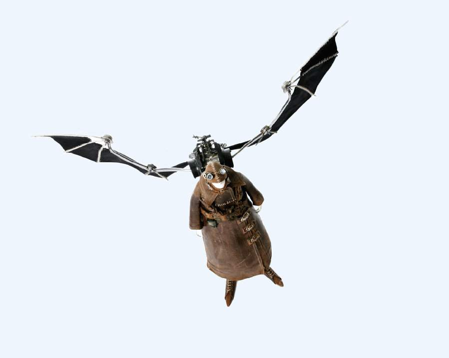 Homme volant. Stephane Halleux