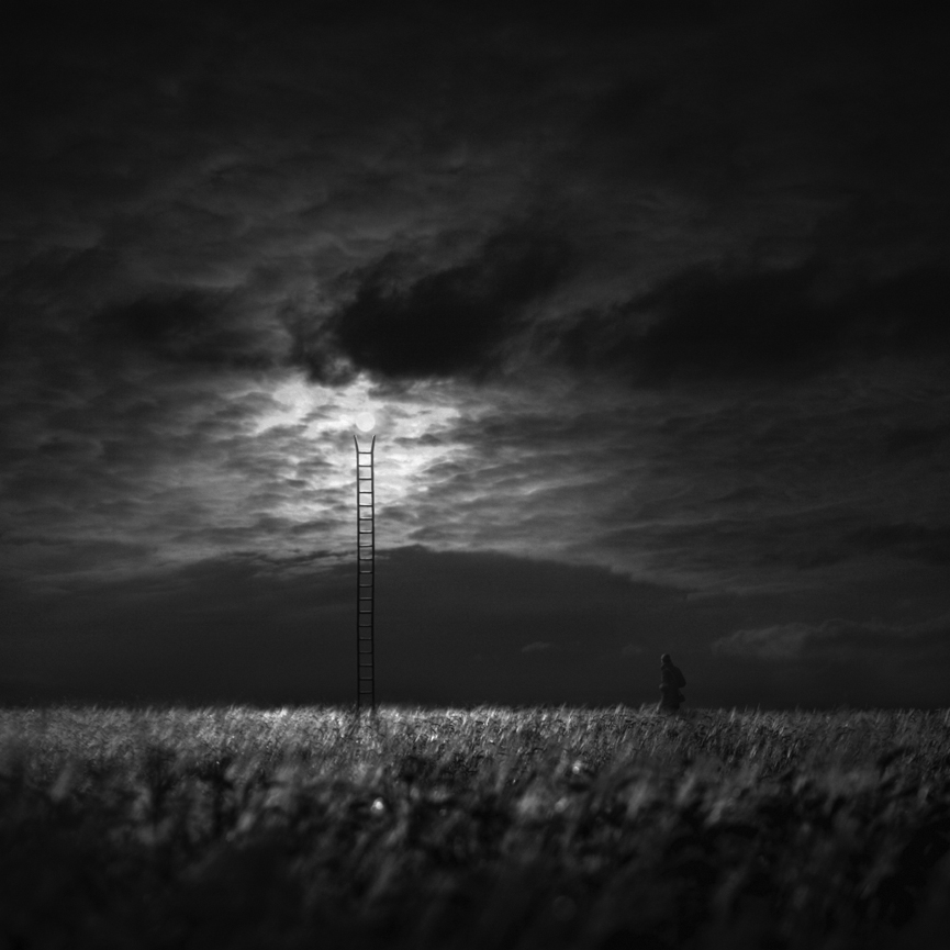 Ticket to the Moon. Dariusz Klimczak