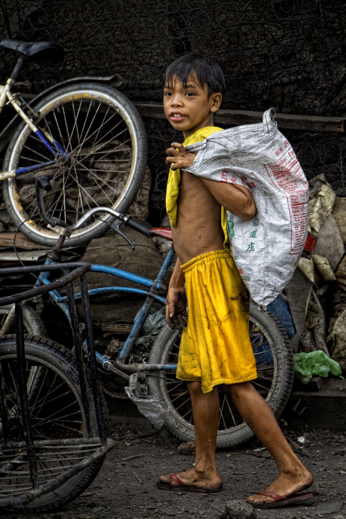 Scavenger en Smoky Mountain. Mio Cade