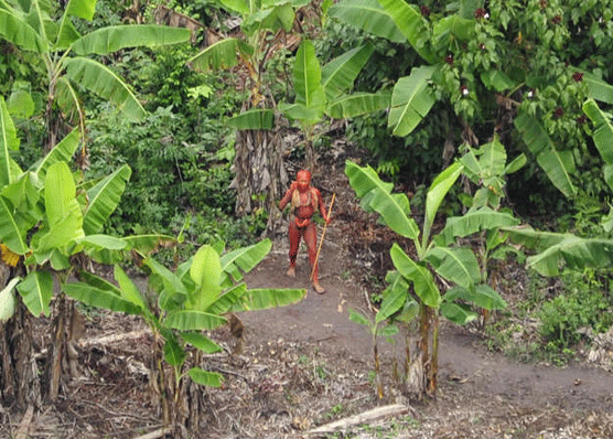 Indígena cerca de su poblado, rodeado por plataneras. Gleison Miranda