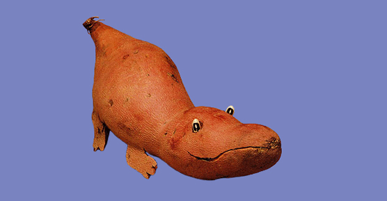 Pequeño cocodrilo. Joost Elffers y Saxton Freymann