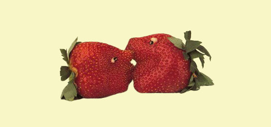 Beso dulce. Joost Elffers y Saxton Freymann