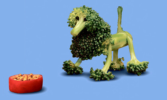 Brocoli. Joost Elffers y Saxton Freymann