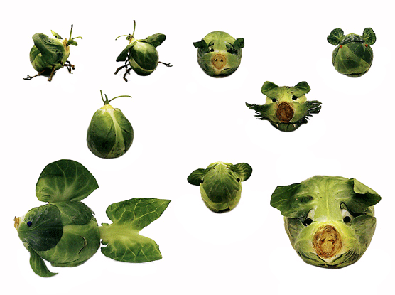 Play Food Bugs. Joost Elffers y Saxton Freymann