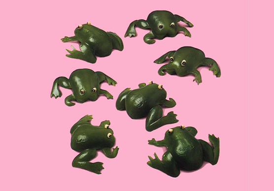 Ranas. Joost Elffers y Saxton Freymann