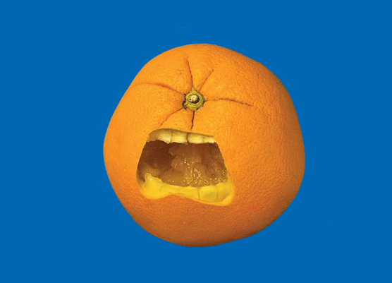 Naranja grito. Joost Elffers y Saxton Freymann