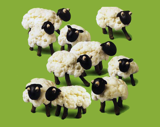 Ovejas. Joost Elffers y Saxton Freymann