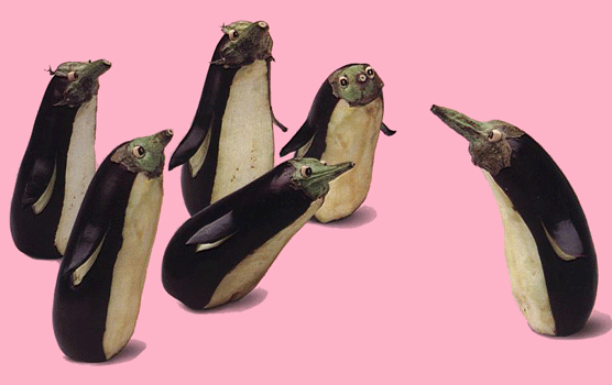 Pinguinos. Joost Elffers y Saxton Freymann