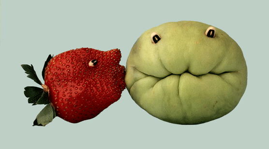 Pucker Up. Joost Elffers y Saxton Freymann