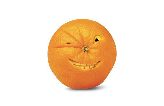 Winky. Joost Elffers y Saxton Freymann