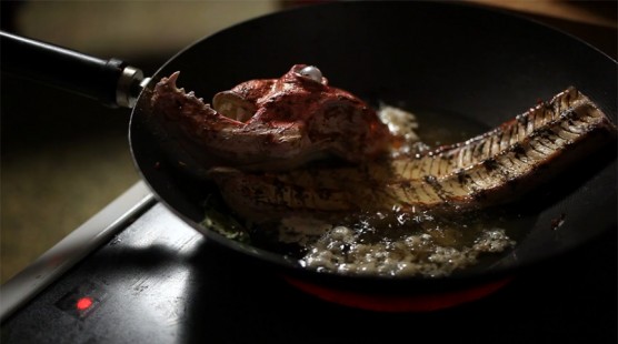 Otto y la anguila eléctrica