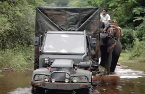 Tigre vs Jaula de palillos de dientes